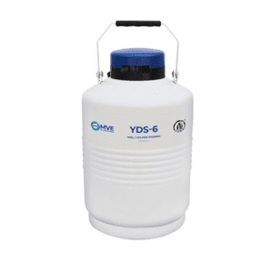 YDS 6